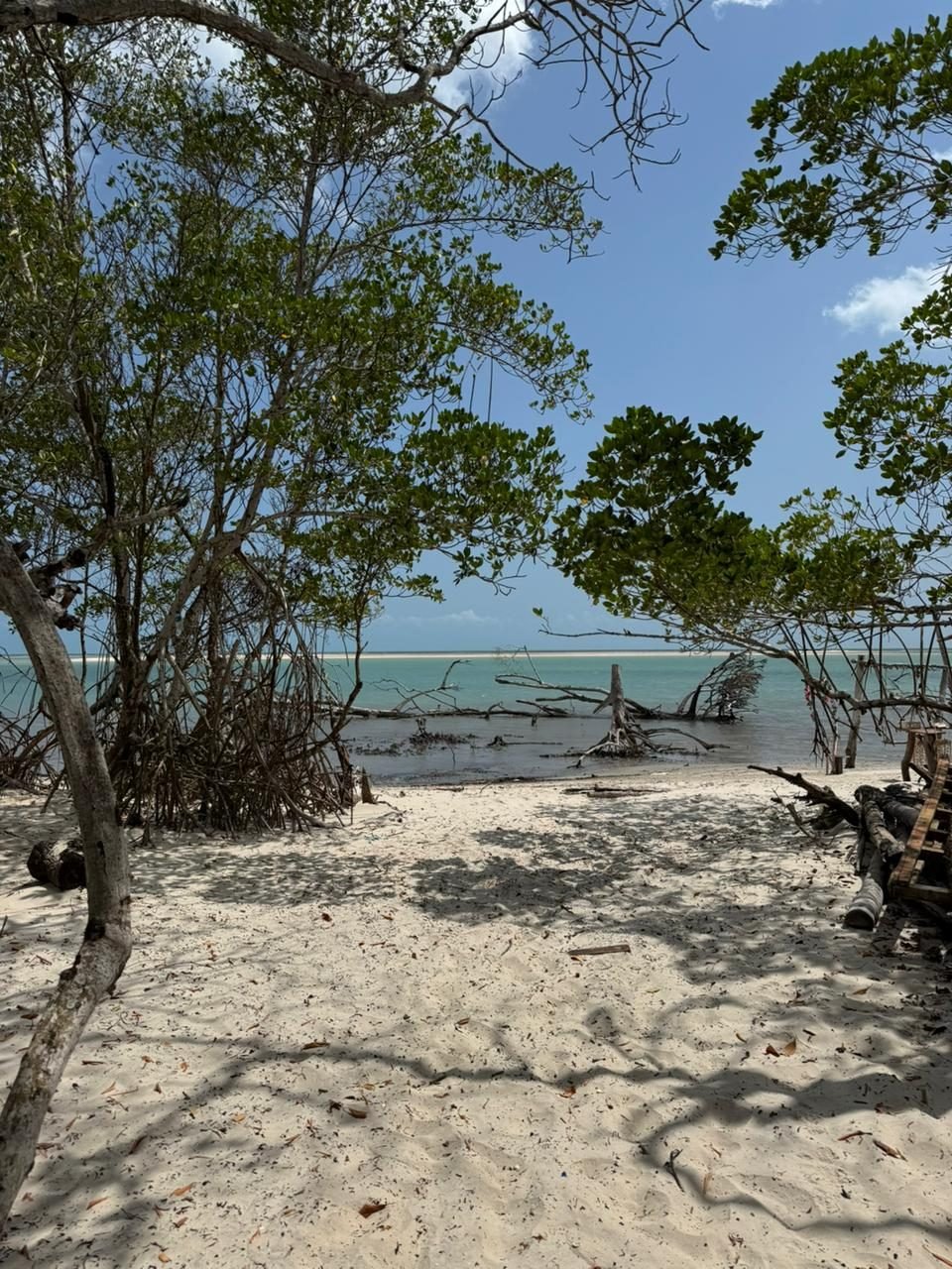 Dunes and lagoon at Jericoacoara — Northeast Brazil