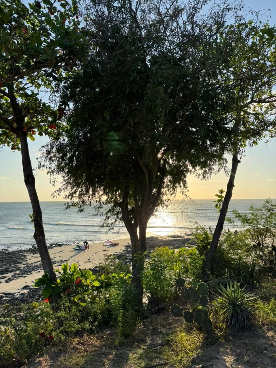 Jericoacoara beach panoramic view — LDJ Travel