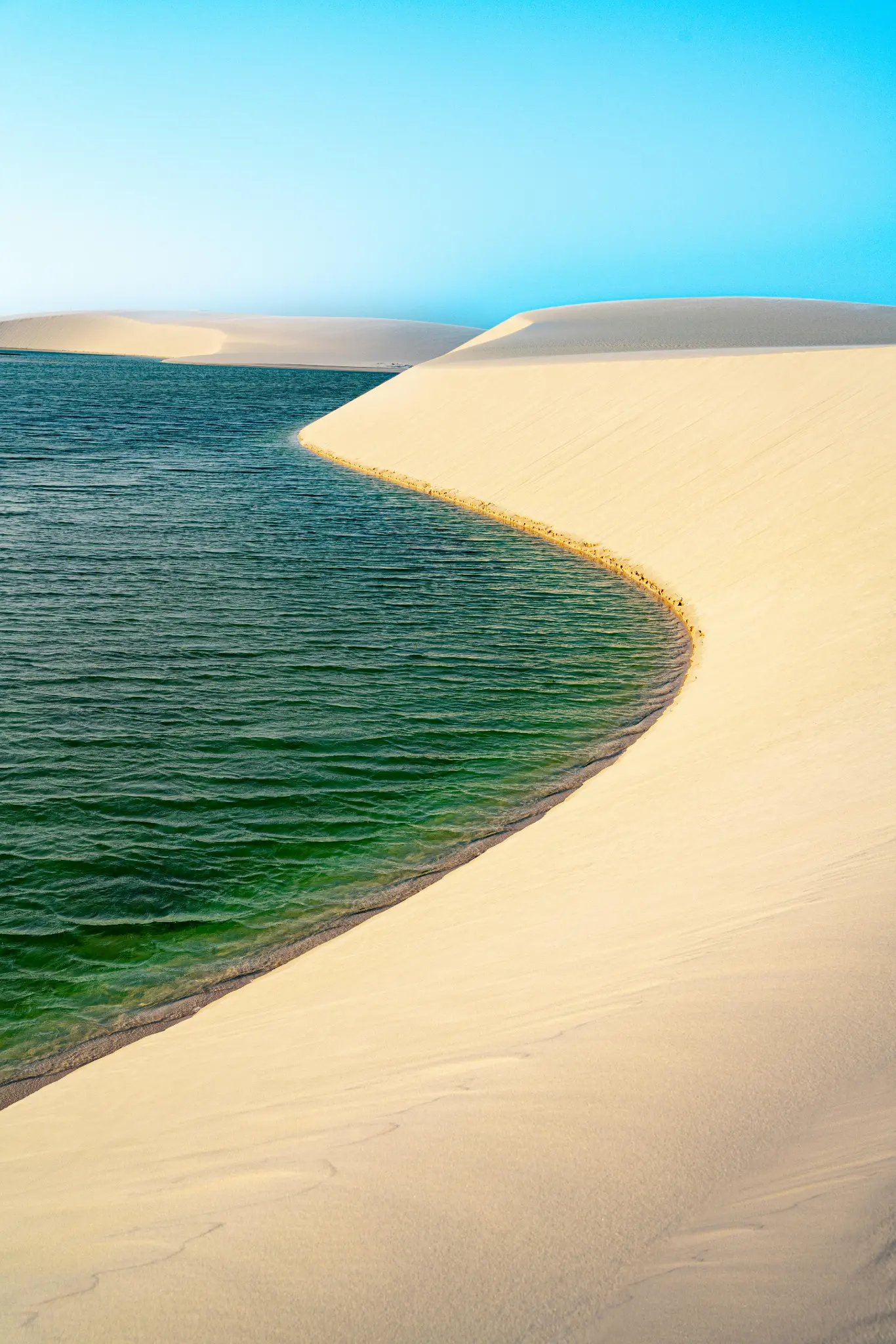 Freshwater lagoon meeting the white dunes of Lençóis Maranhenses