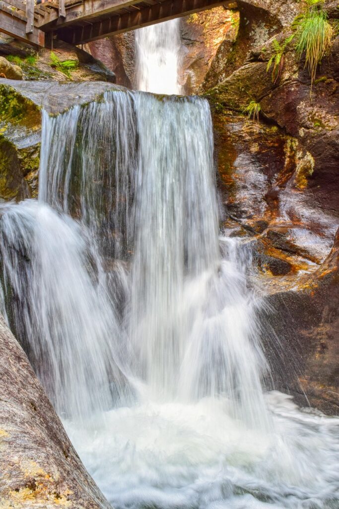 waterfall, nature, bavarian forest, germany, ground corn, landscape, high fall waterfall
